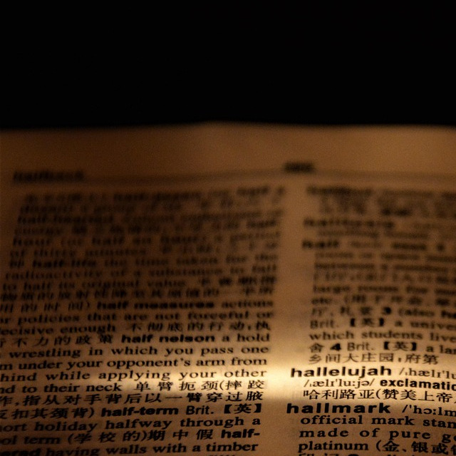 dictionary book language