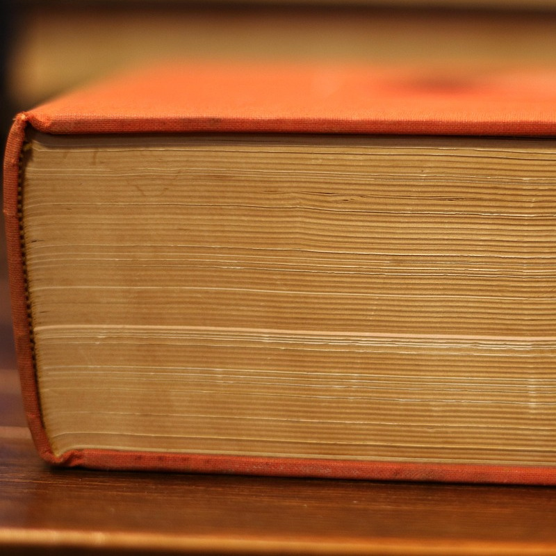 dictionary book language